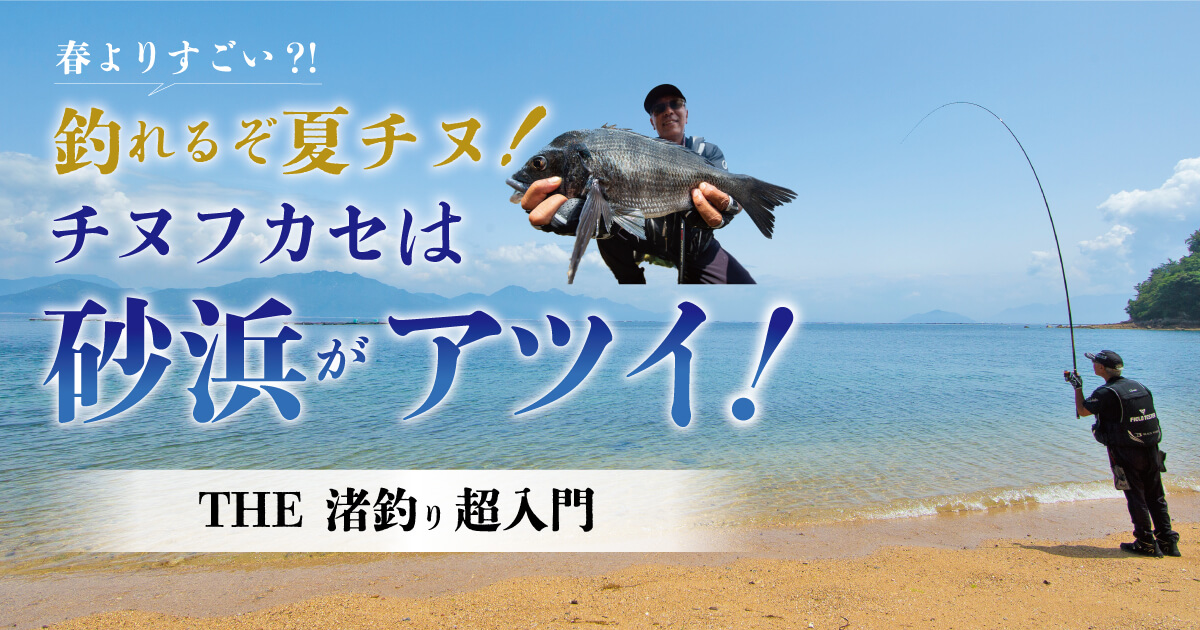 春よりすごい!?】釣れるぞ夏チヌ！ チヌフカセは砂浜がアツい The渚釣り超入門