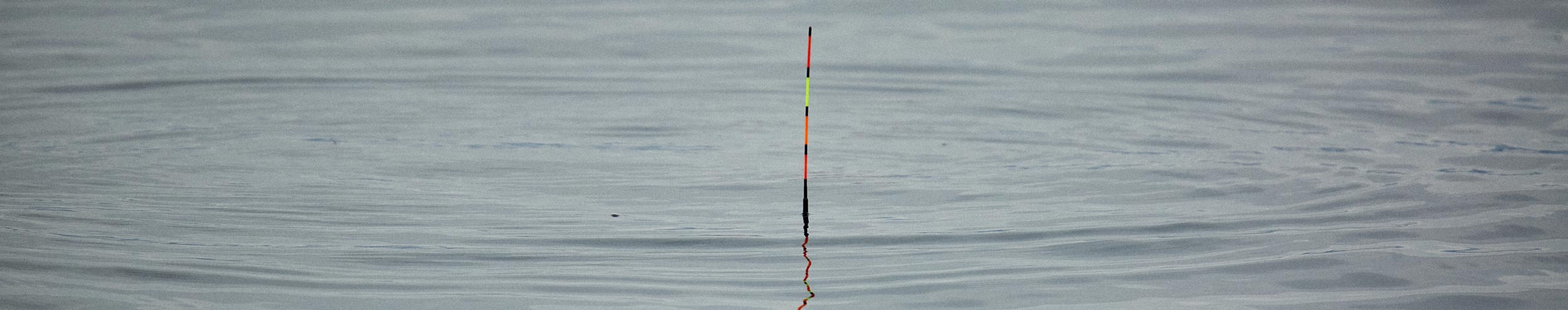 海面に垂直に浮く遠矢ウキ