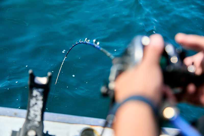 高級魚が簡単に釣れる！漁師の漁法から生まれた「落し込みサビキ」釣り