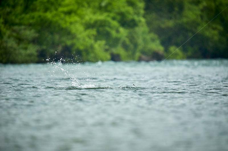 水面の下へと続くライン。その先から水飛沫が上がっている。