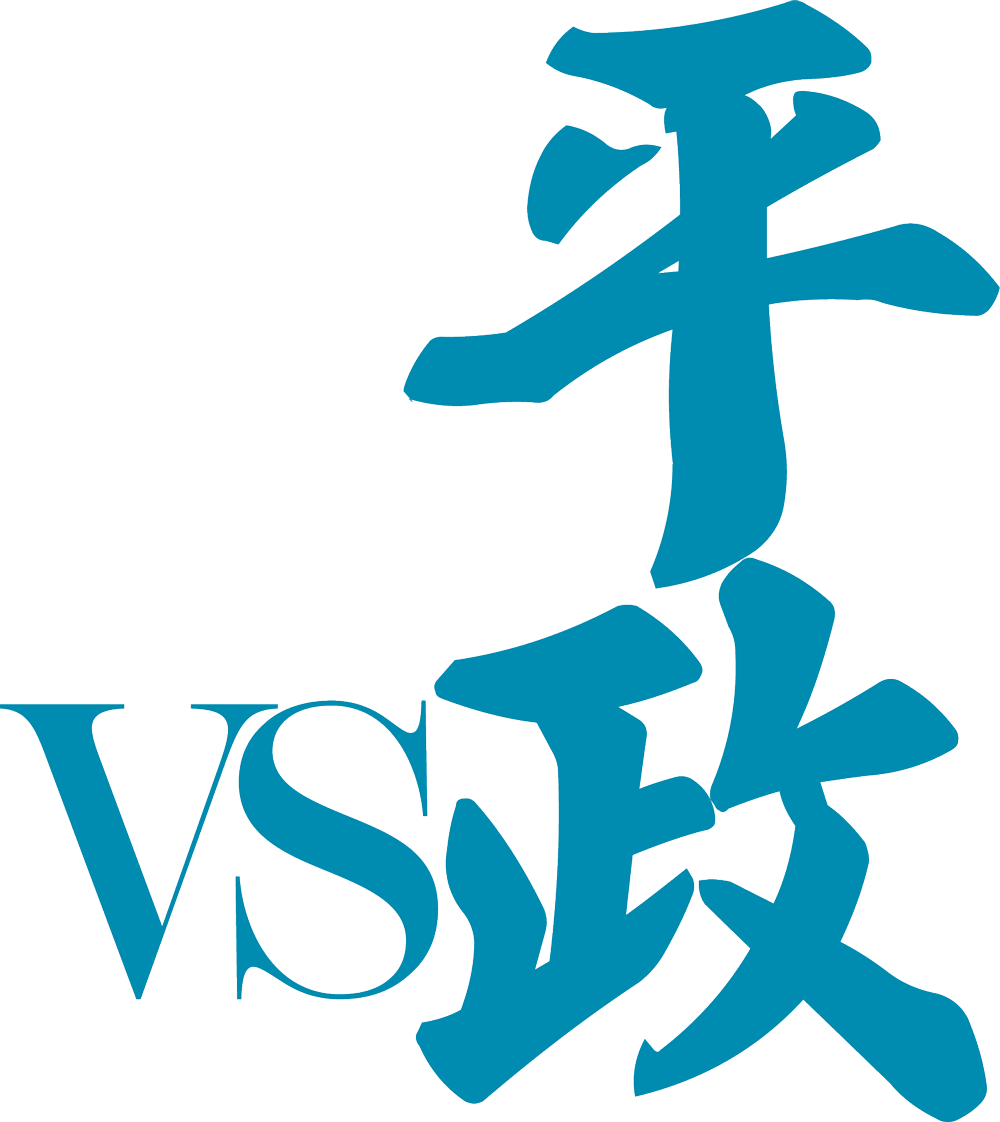 VS平政