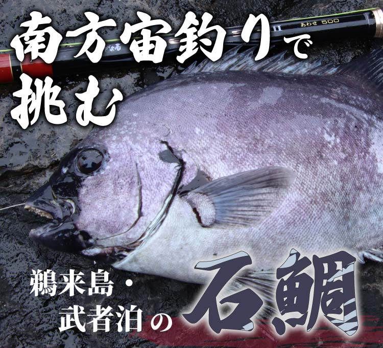 南方宙釣りで挑む 鵜来島・武者泊の石鯛