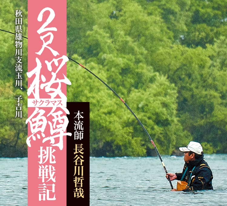 2尺桜鱒挑戦記　がま渓流 本流SPECIALⅡ